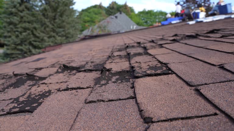 Best Rubber Roofing (EPDM, TPO)  in North Pearsall, TX