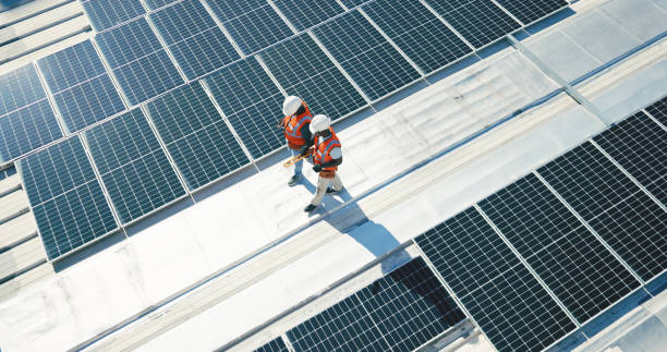 Best Skylight Installation and Repair  in North Pearsall, TX