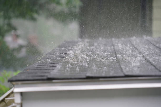 Best Gutter Installation and Repair  in North Pearsall, TX